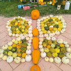 Un clásico en el otoño Sanestebeño