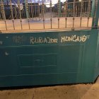 Pintadas en el quiosco de Ágreda en el parque de la Dehesa.