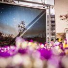 Una de las distintas muestras que OnPhoto Soria traerá en esta edición