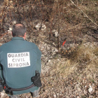 Un agente en el lugar en el que se inició el incendio.-HDS