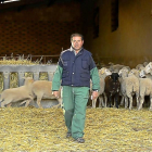 Juan Manuel Salvador con sus ovejas en Peñausende-E.M.