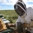 El curso de Soriactiva pretende impulsar la apicultura. HDS