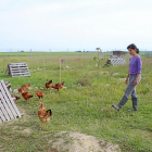 Marina Frutos camina en el campo entre los pollos que cría de forma ecológica y sostenible en la granja de Aldea de San Miguel (Valladolid).-M.T.