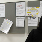 Una trabajadora mira una oferta de trabajo en el Servicio Público de Empleo. / ÁLVARO MARTÍNEZ-
