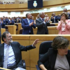 Mariano Rajoy, en el pleno del Senado.-DAVID CASTRO