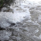 ‘Tormo’ de espuma enganchado en una orilla del río Razón en la zona del Chorrón.-AMELIA RUS