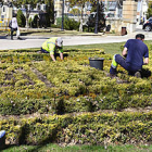 Varios trabajadores de parques y jardines. / ÁLVARO MARTÍNEZ-