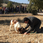 Un participante en el concurso de búsqueda de trufa con perro.-D.S.