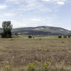 Paraje de 'La Vega' donde está prevista la plantación de arándanos-L.A.T.