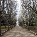 Vista parcial del parque del Castillo en Soria. HDS