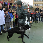 Alumnos y profesores disfrutan de uno de los ‘agentes’ caninos del equipo cinológico.-VALENTÍN GUISANDE