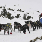 Un musher durante la primera prueba de la Soria Unlimited.-VALENTÍN GUISANDE