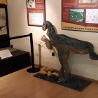 Aula paleontológica de Villar del Río. -M.T.
