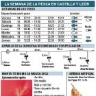 La semana de la pesca en Castilla y León-EL MUNDO