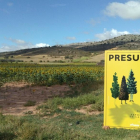 El cartel de la feria en un campo soriano para evidenciar la despoblación.-TOÑO CARRILLO