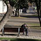 Un jubilado en un parque.-ELISENDA PONS