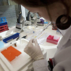 Actividad en un laboratorio de Oryzon de Cornellà.-ARCHIVO