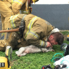 El bombero estadounidense Andrew Klein hace el boca a noca al pero Nul.-BILLY FERNANDO / SANTA MONICA FIRE DEPARTAMENT