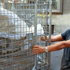 Un trabajador en Barcelona realizando tareas con riesgo de toxicidad.-FERRAN NADEU