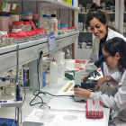 Aida Rodríguez y Rosa Ana López, en el laboratorio de la Universidad Politécnica de Madrid. E.M.