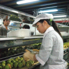Ciudadanos chinos trabajando en una cooperativa agraria.-