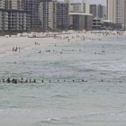Imágen de la cadena humana de más de 70 bañistas en la playa de Panama City, Florida (EEUU). /TWITTER.-TWITTER