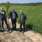 Investigadores de la UVA muestran su técnica en un campo palentino.-M. BRÁGIMO