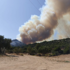 El incendio forestal de Cebreros en el que trabajan los efectivos de la BRIF de Lubia. BRIF LUBIA