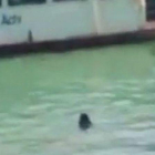 Imagen del inmigrante gambiano, en aguas del canal de Venecia en uno de los vídeos que circula por YouTube.-