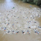 Triatlon Almazan 2017
