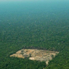 Deforestación por la tala ilegal en el Amazonas, en Brasil.-AFP
