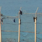Asalto de inmigrantes a la valla de Ceuta durante la Nochebuena-AP