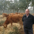 Gonzalo Jiménez con sus animales de alto valor genético en la explotación de Villalba de los Alcores (Valladolid).-E.M.