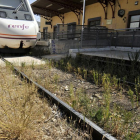 La sensación de abandono en la estación es creciente.-Valentín Guisande