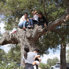 Personas subidas a un árbol antes del comienzo de la Saca.-G. MONTESEGURO