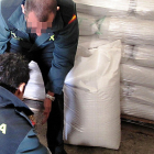La Guardia Civil interviene semillas de trigo en Ávila por un delito contra la propiedad industrial en una foto de archivo. | G. CIVIL