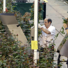 Interior de la empresa Aleia Roses.-MARIO TEJEDOR