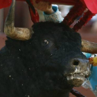 La crueldad en los festejos taurinos, según Igualdad Animal.-Foto: IGUALDAD ANIMAL