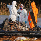 Equipo de forenses junto a la avioneta siniestrada en Erzhausen.-KAI PFAFFENBACH (REUTERS)