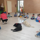 Sesión en el colegio La Alameda con dos perros.-A. HERNANDO