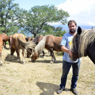 Una de las explotaciones de ganado equino en Almarza.-ÁLVARO MARTÍNEZ