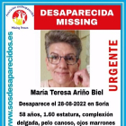 Cartel con el rostro de la mujer desaparecida en Soria. HDS