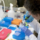 Imagen de un investigador científico durante su labor en el laboratorio.-FERRAN NADEU (EL PERIÓDICO)