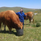 La joven ganadera, Lucía López, cuidando a su vacas en la localidad segoviana de Villacastín. - EL MUNDO-- EL MUNDO