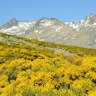 Aspecto que presentan las vertientes de Gredos durante estas semanas-EDU HINOJAL. FOTOGRAFÍA