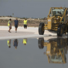 Primer dia de la campaña de recoleccion de sal en las Salinas de la Trinitat del delta del Ebro.-JOAN REVILLAS