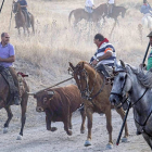 Los caballistas conducen con sus garrochas a uno de los astados de Blázquez y Rein por el tramo campero del encierro de Cuéllar.-Ical