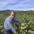 El empresario bodeguero Víctor Robla analiza una de las cepas en sus plantaciones del Bierzo.-