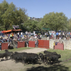 Los toros del Jueves La Saca ya están en Valonsadero-Luis Ángel Tejedor