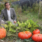 El catedrático de Micología del campus de Palencia, Andrés Oria, con hortalizas abonadas con trufas enanas.-MANUEL BRÁGIMO